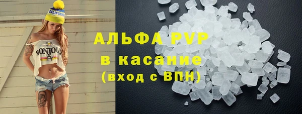 сатива Абинск