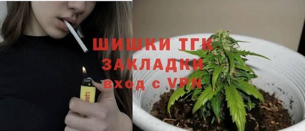 сатива Абинск