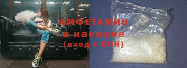 сатива Абинск