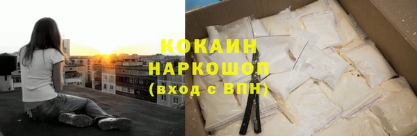 индика Нея