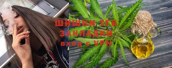 прущие грибы Абаза