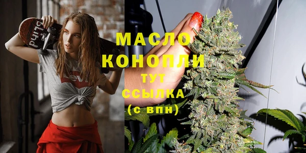 индика Нея