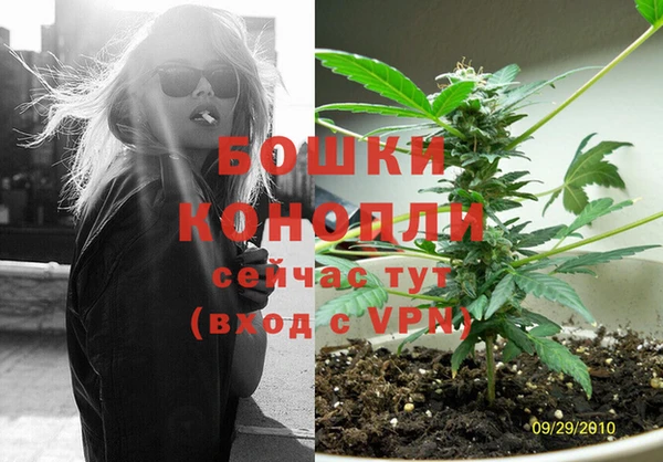 индика Нея