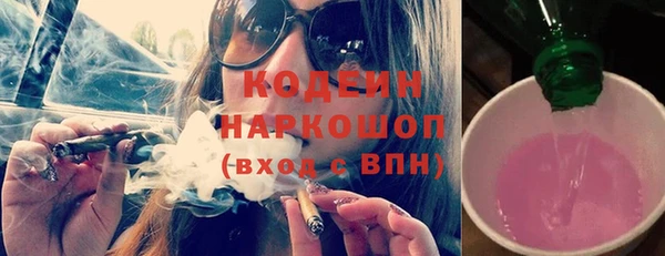 индика Нея