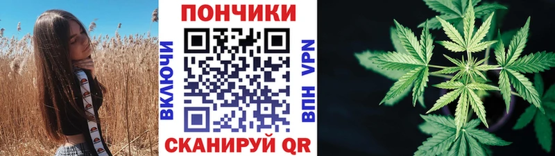 как найти закладки  Лесозаводск  Канабис марихуана 